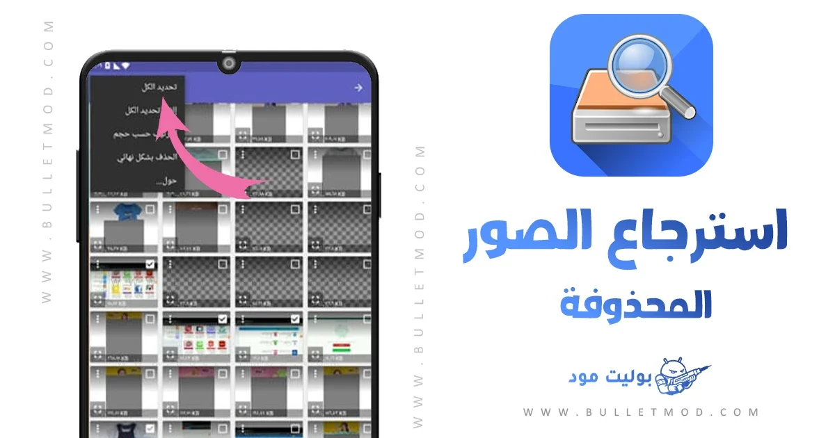 برنامج ديسك ديجرلاستعادة الصور